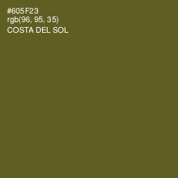 #605F23 - Costa Del Sol Color Image