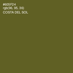 #605F24 - Costa Del Sol Color Image