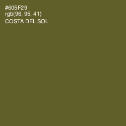 #605F29 - Costa Del Sol Color Image