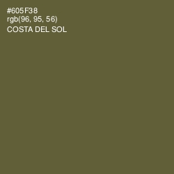 #605F38 - Costa Del Sol Color Image