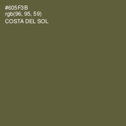 #605F3B - Costa Del Sol Color Image