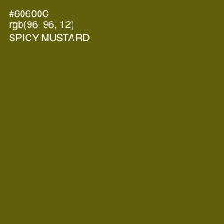 #60600C - Spicy Mustard Color Image