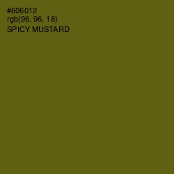 #606012 - Spicy Mustard Color Image