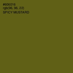 #606016 - Spicy Mustard Color Image