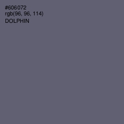 #606072 - Dolphin Color Image