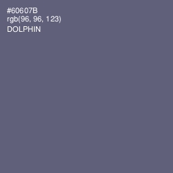 #60607B - Dolphin Color Image