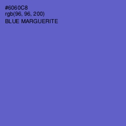 #6060C8 - Blue Marguerite Color Image