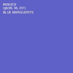 #6060C9 - Blue Marguerite Color Image