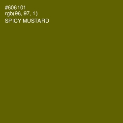 #606101 - Spicy Mustard Color Image