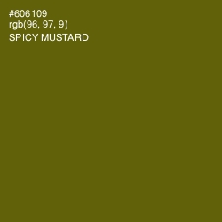 #606109 - Spicy Mustard Color Image