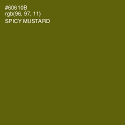 #60610B - Spicy Mustard Color Image