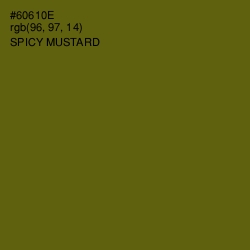 #60610E - Spicy Mustard Color Image