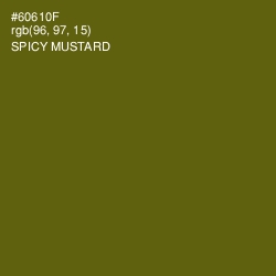 #60610F - Spicy Mustard Color Image