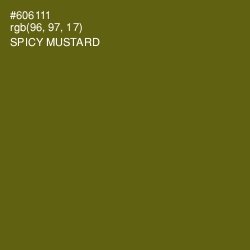 #606111 - Spicy Mustard Color Image