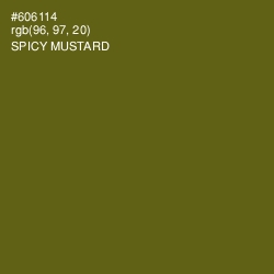 #606114 - Spicy Mustard Color Image