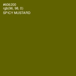 #606200 - Spicy Mustard Color Image