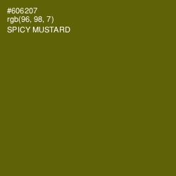 #606207 - Spicy Mustard Color Image