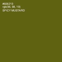 #606213 - Spicy Mustard Color Image
