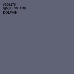 #606276 - Dolphin Color Image