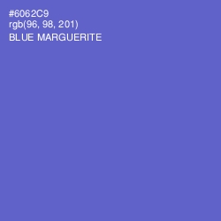 #6062C9 - Blue Marguerite Color Image
