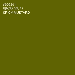 #606301 - Spicy Mustard Color Image