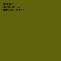 #60630A - Spicy Mustard Color Image