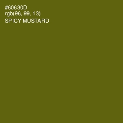 #60630D - Spicy Mustard Color Image