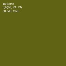 #606313 - Olivetone Color Image