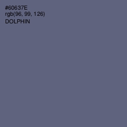 #60637E - Dolphin Color Image