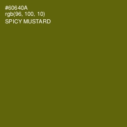 #60640A - Spicy Mustard Color Image