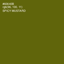 #60640B - Spicy Mustard Color Image