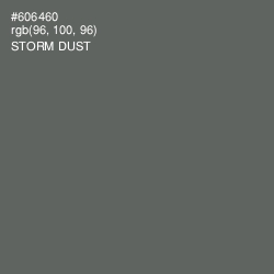 #606460 - Storm Dust Color Image