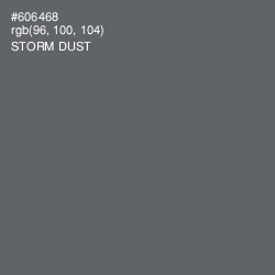 #606468 - Storm Dust Color Image