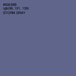 #60658B - Storm Gray Color Image