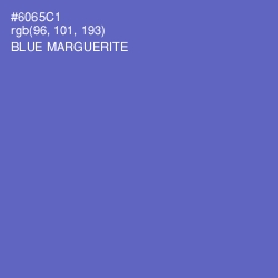 #6065C1 - Blue Marguerite Color Image