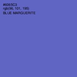 #6065C3 - Blue Marguerite Color Image