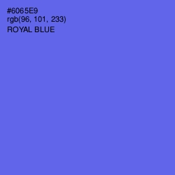 #6065E9 - Royal Blue Color Image