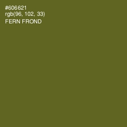 #606621 - Fern Frond Color Image