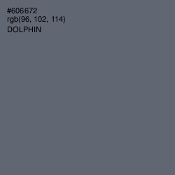 #606672 - Dolphin Color Image