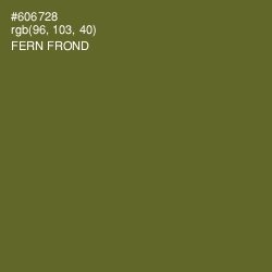 #606728 - Fern Frond Color Image