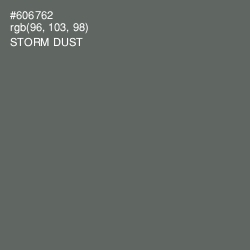 #606762 - Storm Dust Color Image
