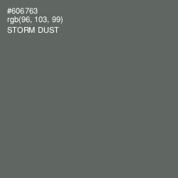#606763 - Storm Dust Color Image