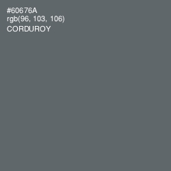 #60676A - Corduroy Color Image