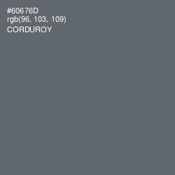 #60676D - Corduroy Color Image