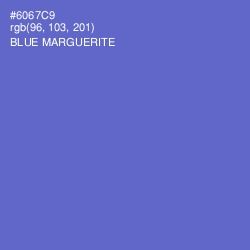 #6067C9 - Blue Marguerite Color Image