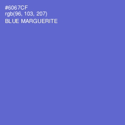 #6067CF - Blue Marguerite Color Image