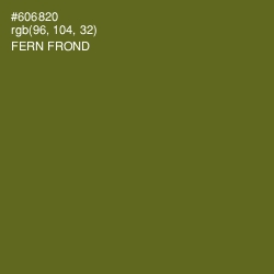 #606820 - Fern Frond Color Image