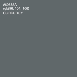 #60686A - Corduroy Color Image