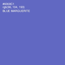 #6068C1 - Blue Marguerite Color Image