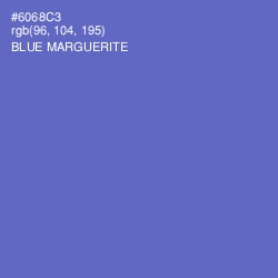 #6068C3 - Blue Marguerite Color Image